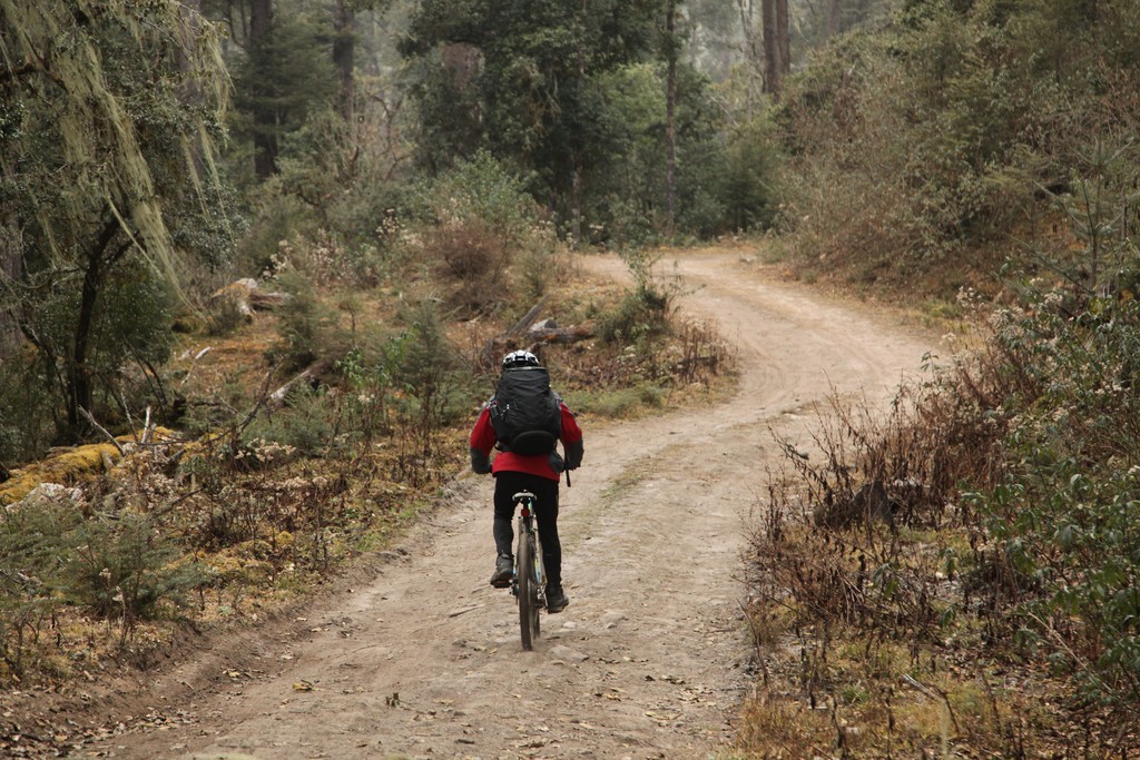 Bike through the forests to get to Khotokha Valley