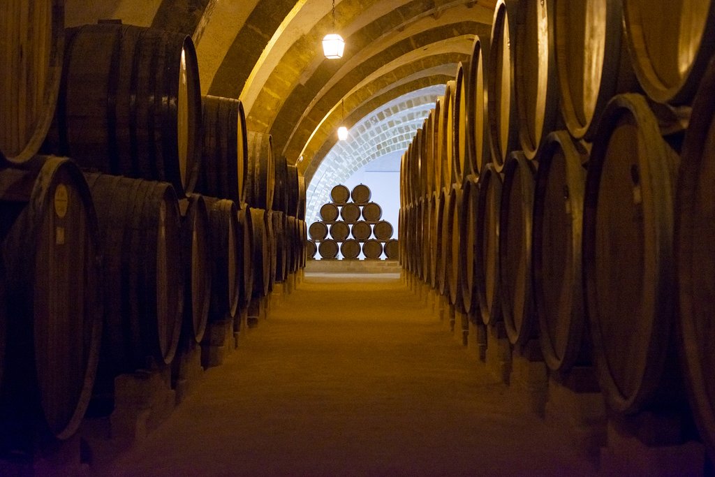 Italy - Sicily - Wine barrels in a vintage cellar in Marsala
