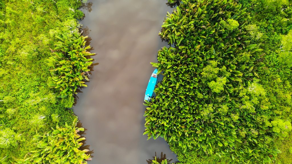River cruising in Borneo