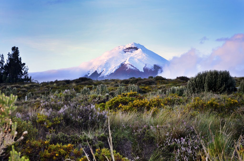 Cotopaxi Volcano