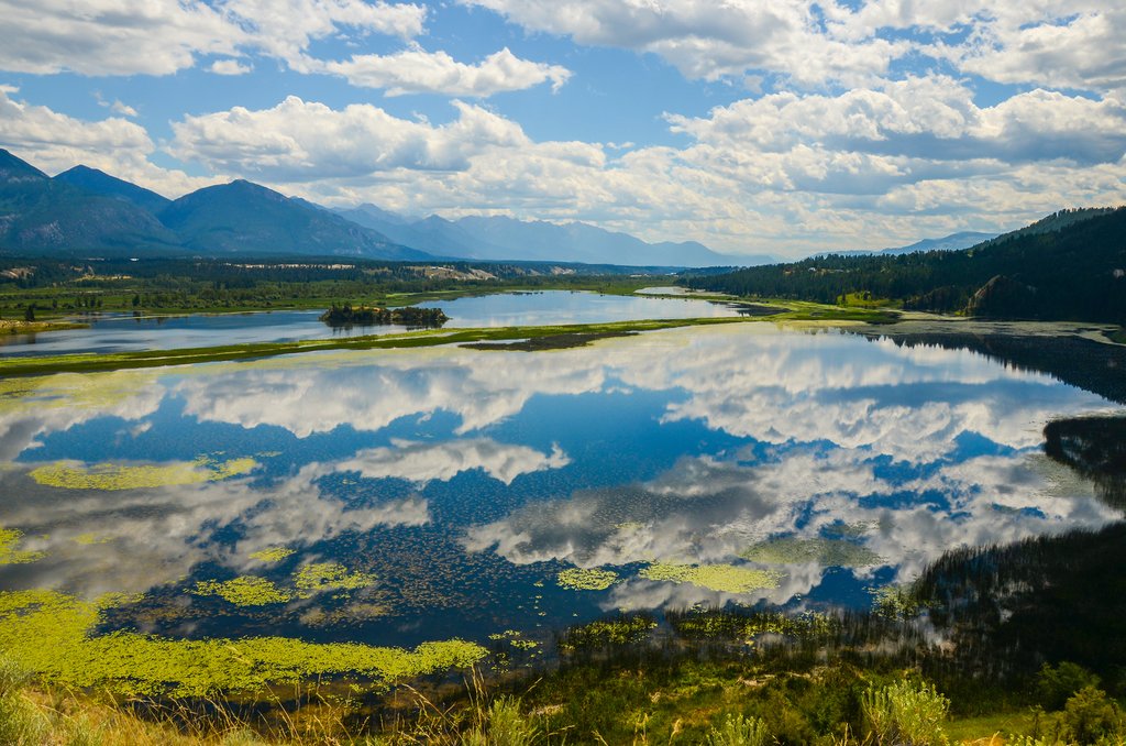 Columbia Wetlands near Invermere
