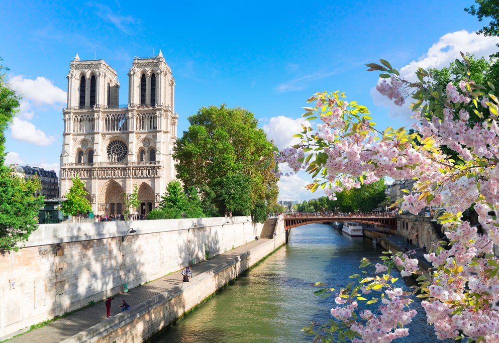 Notre Dame in spring