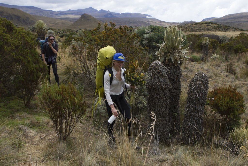 Trekking through different terrains
