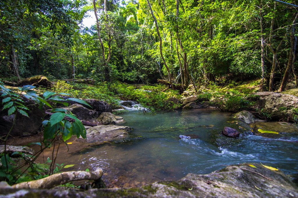 A swimming hole near the eco-lodge