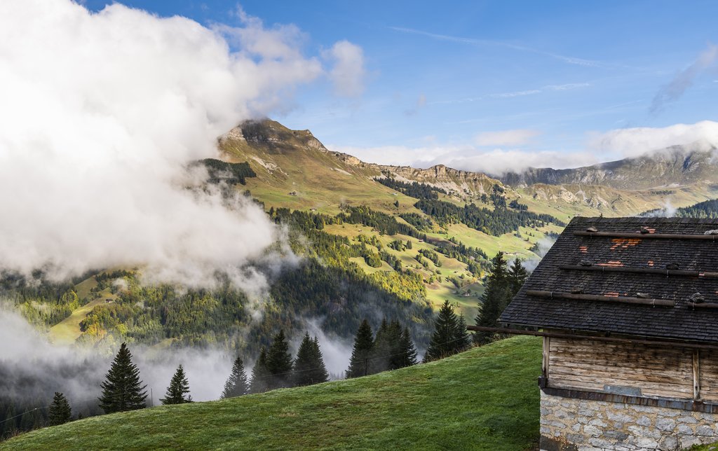 Mountain cabin in the Grand Bornand