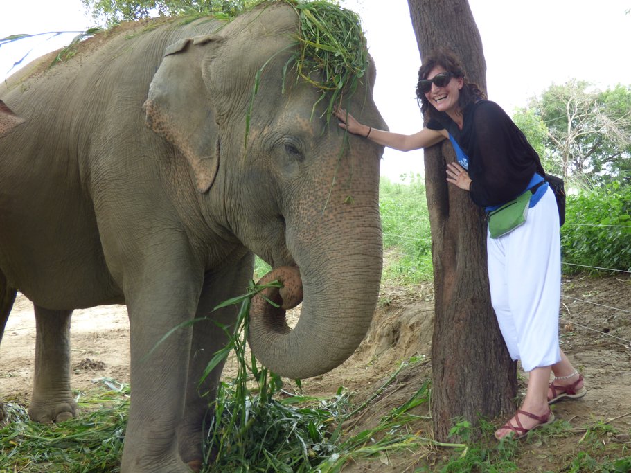 Elephant rescue center, near Agra