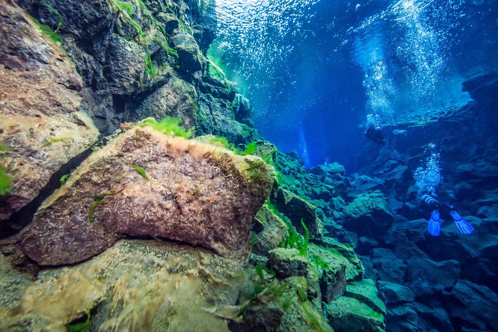 Brave travelers can suit up and get underwater for crystal clear views