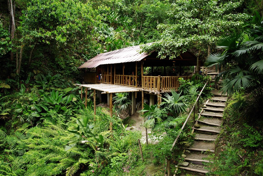 Jungles of Minca
