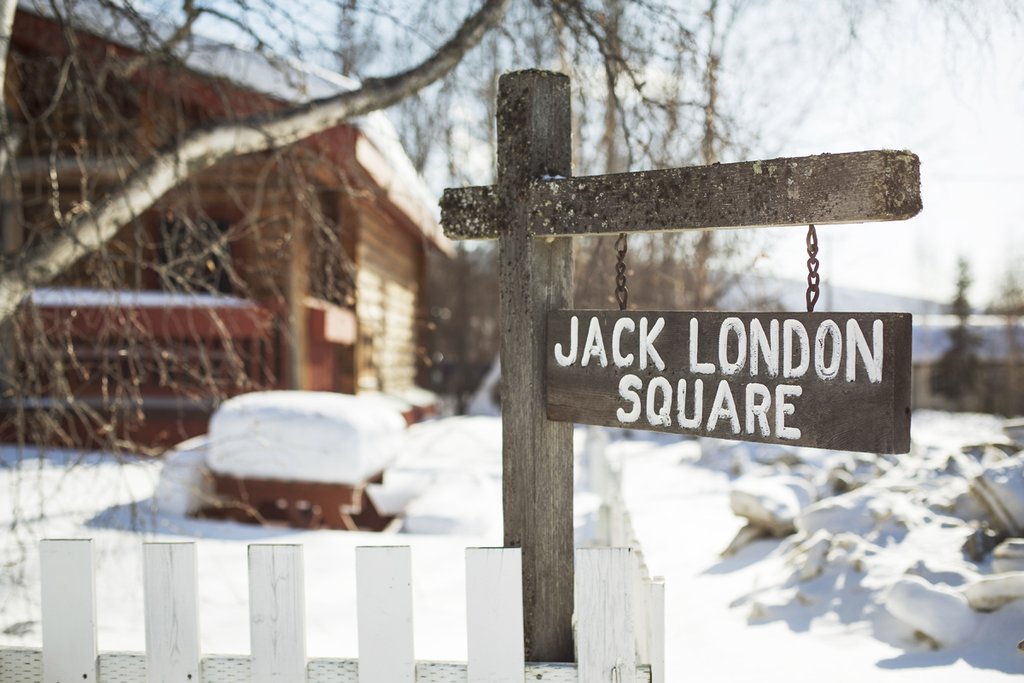 Jack London's  famous novel "Call of the Wild" was based on his experiences in Dawson City