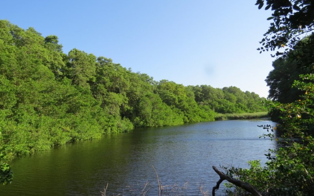 Salamanca National Parkway