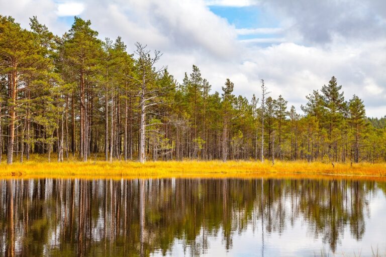 Baltic States National Parks - 11 Days