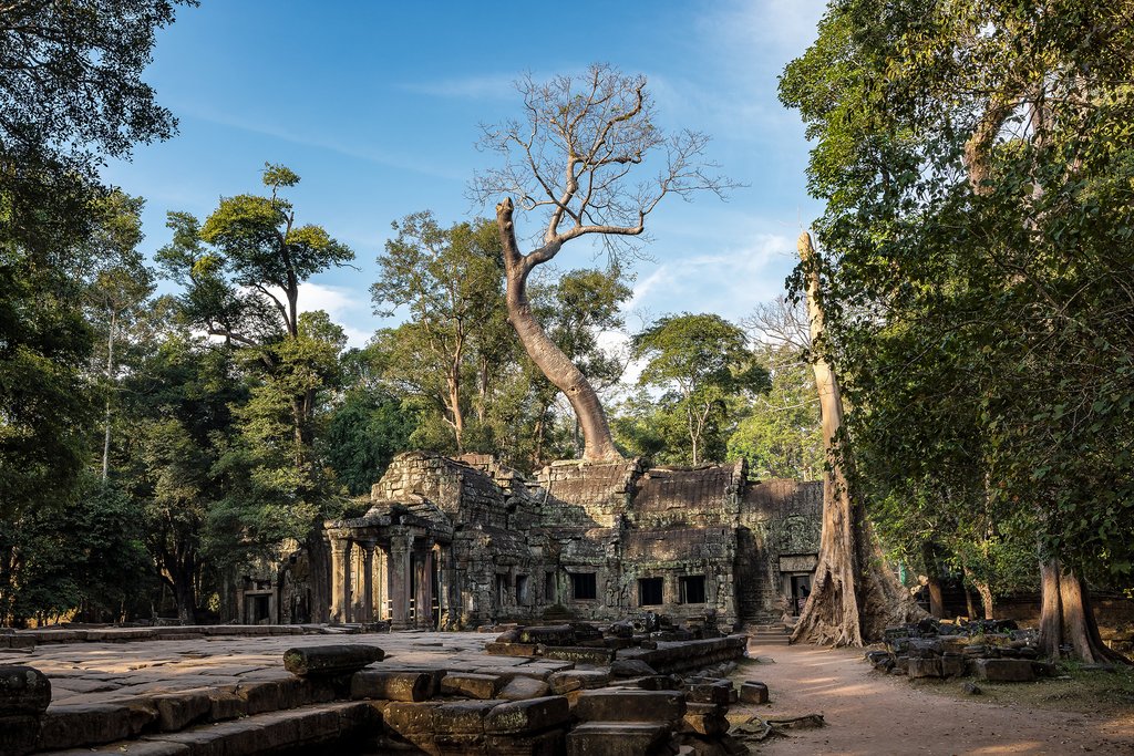 Left to the jungle, Ta Prohm is one of the most visually stunning temples in Angkor