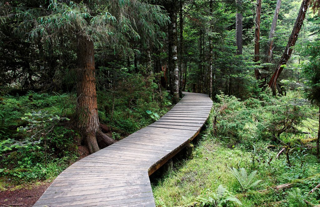A hiking trail through the forest in Tayrona National Park