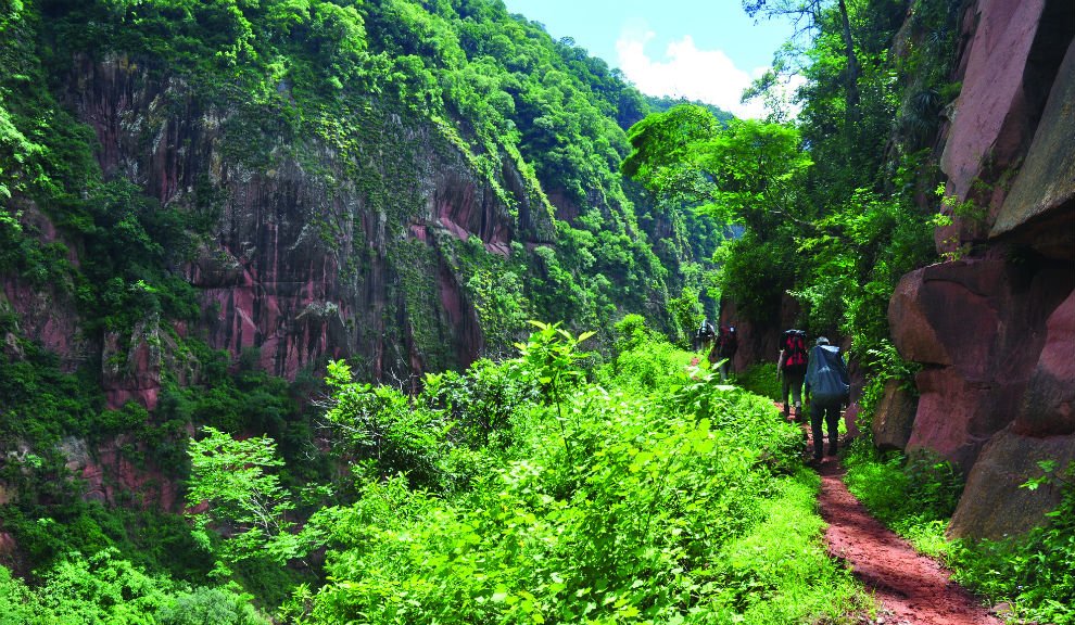 Lush vegetation on the trail