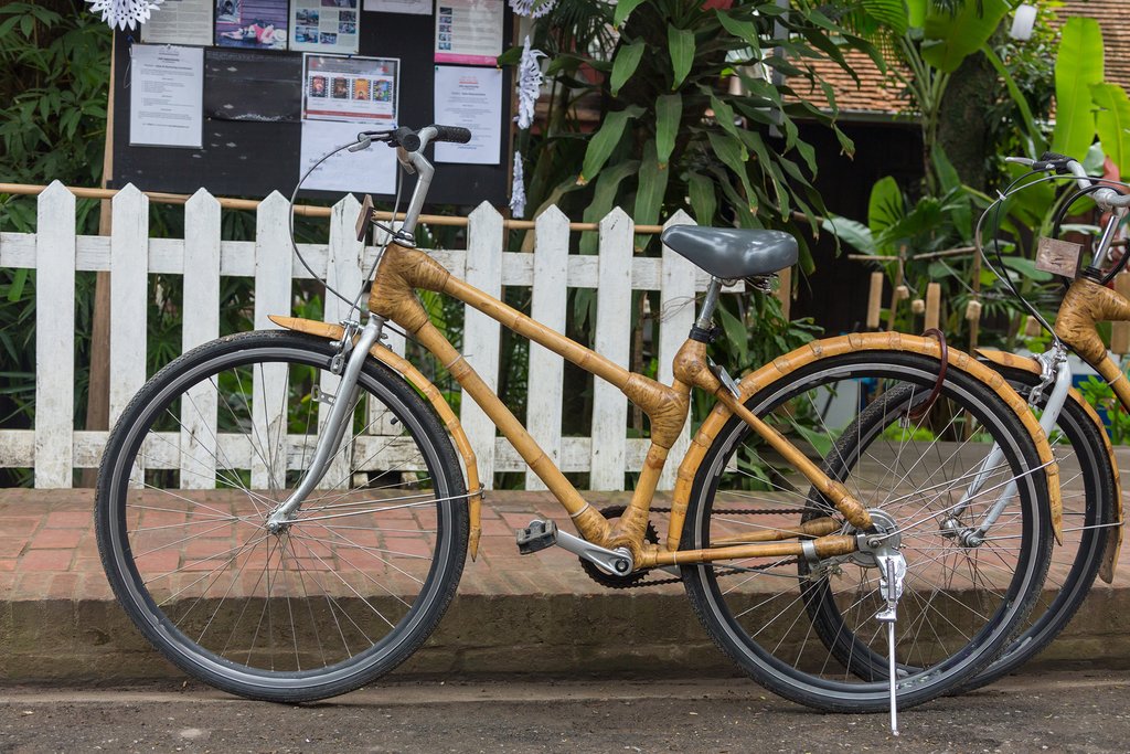 Your mode of transport: a bamboo bicycle