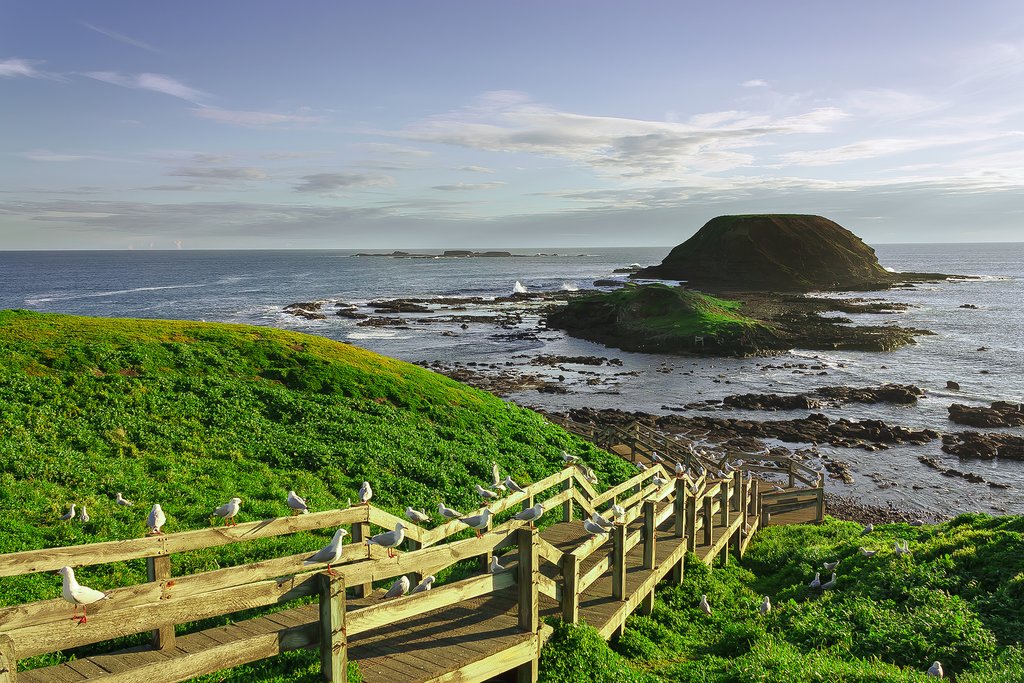 Australia - Phillip Island - The Nobbies