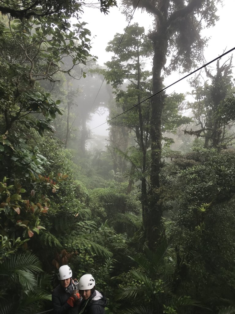 Photo taken by Khaled S