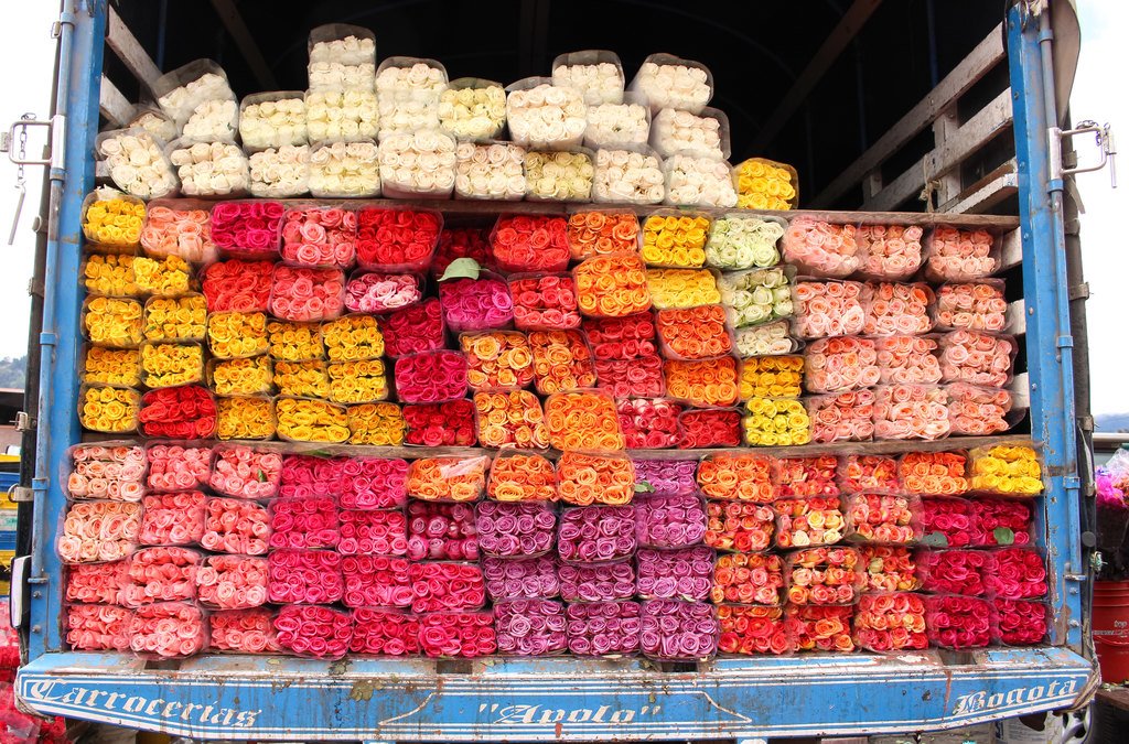 Market visit, lunch at a Bogotano's and Usaquen township