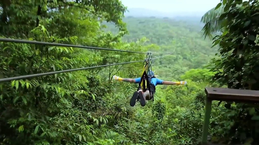 Zip Line