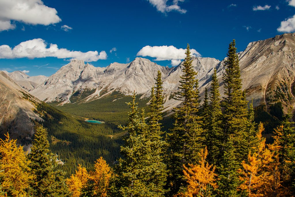 Little Emerald Lake, Kananaskis Country