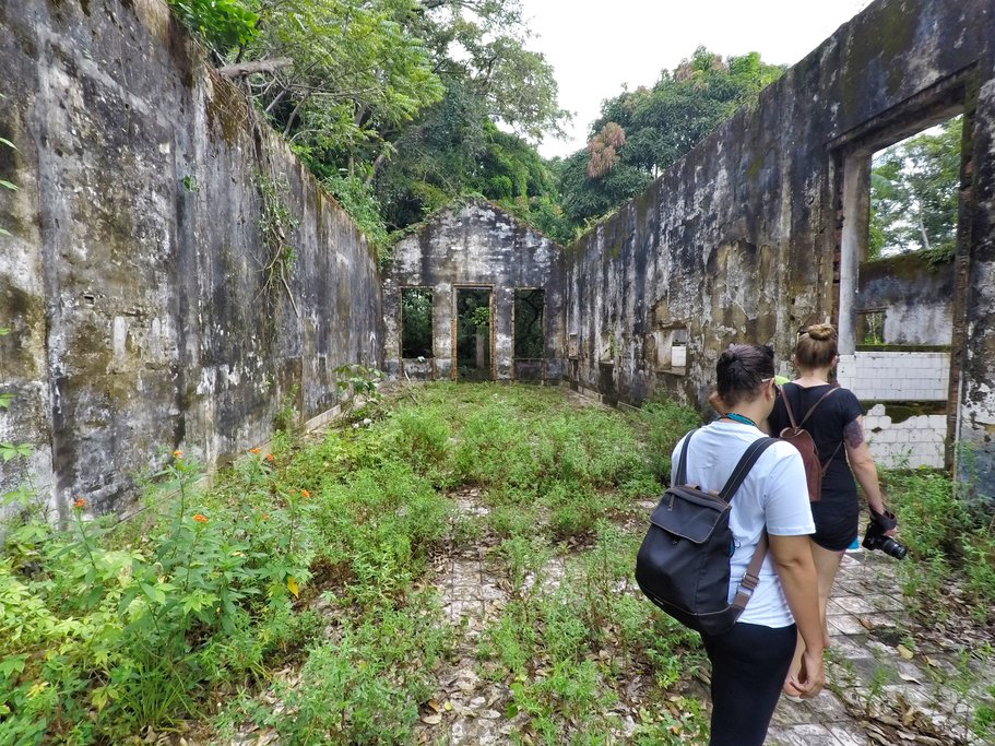 Hiking in the Amazon Rainforest