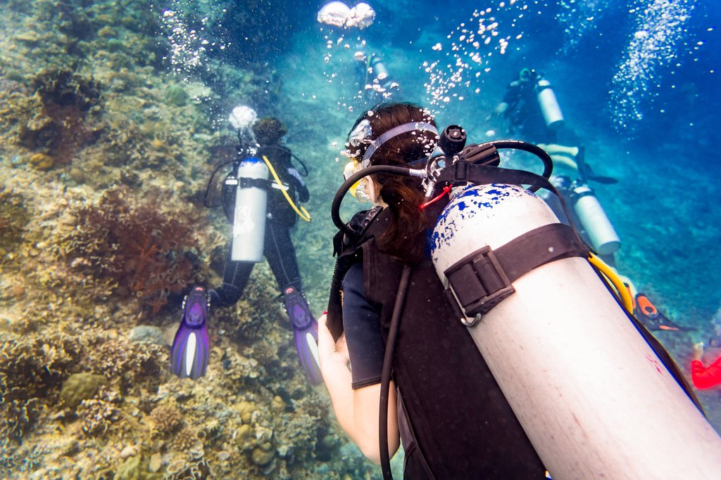 Head out on a scuba diving trip around the islands