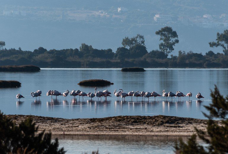 The Famous Flamingoes - Photo from Explore Outdoor Activities