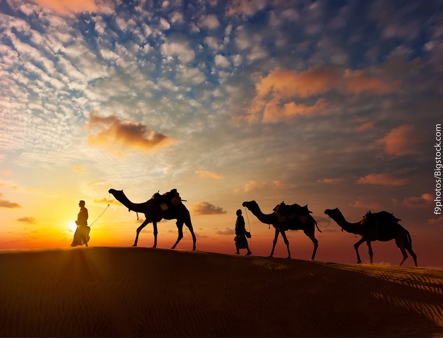 Desert safari