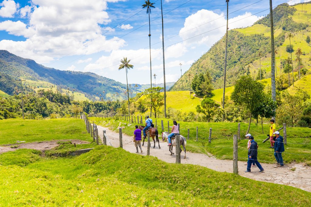 Into the Valle de Cocora