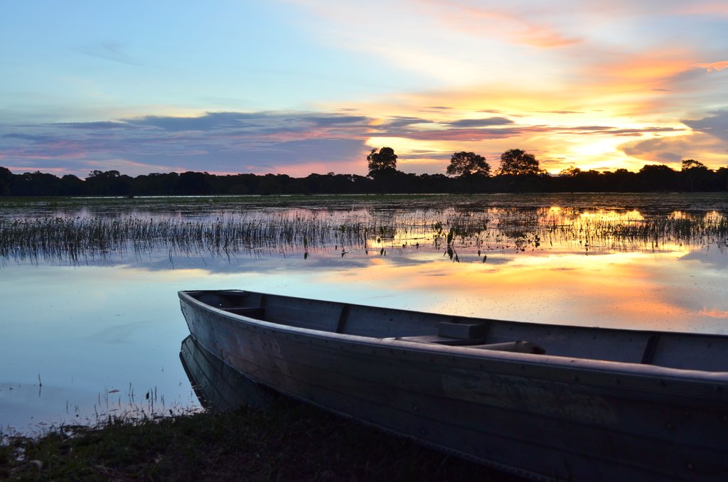 Sunrise over the Pantanal