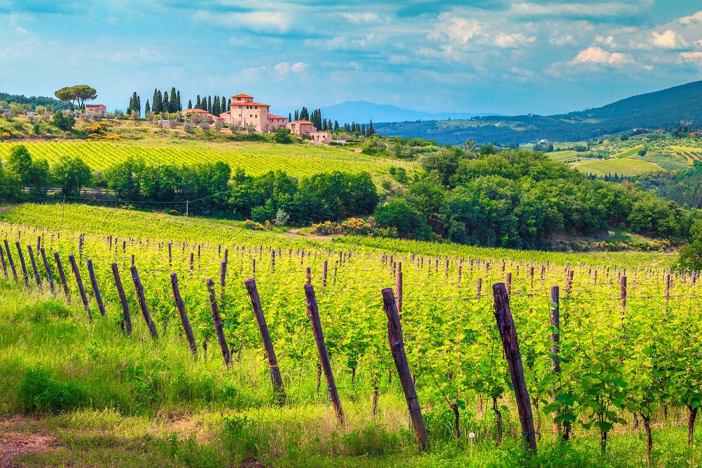 Chianti
