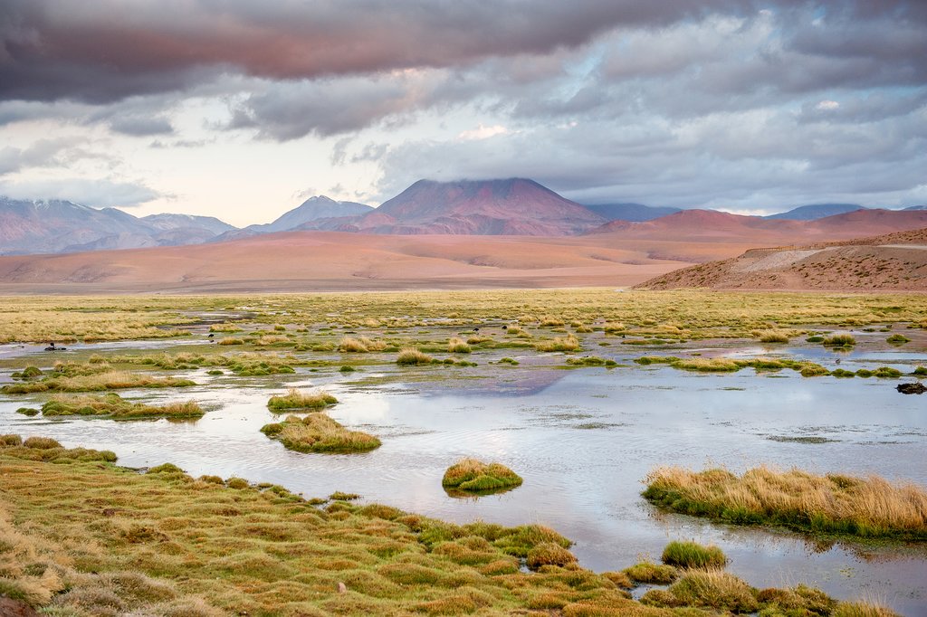The Atacama Desert