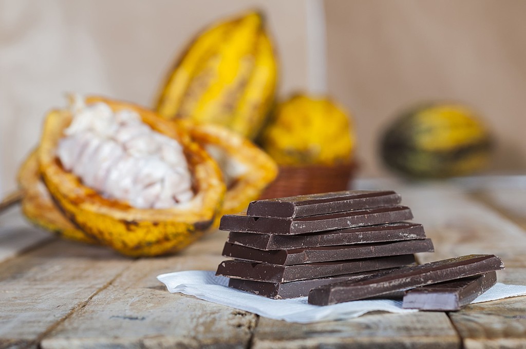 Learn how to make chocolate from bean to bar