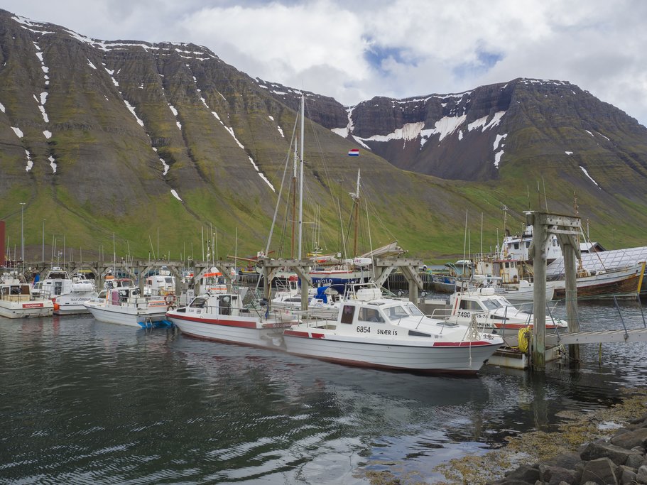 Return to Isafjordur by boat