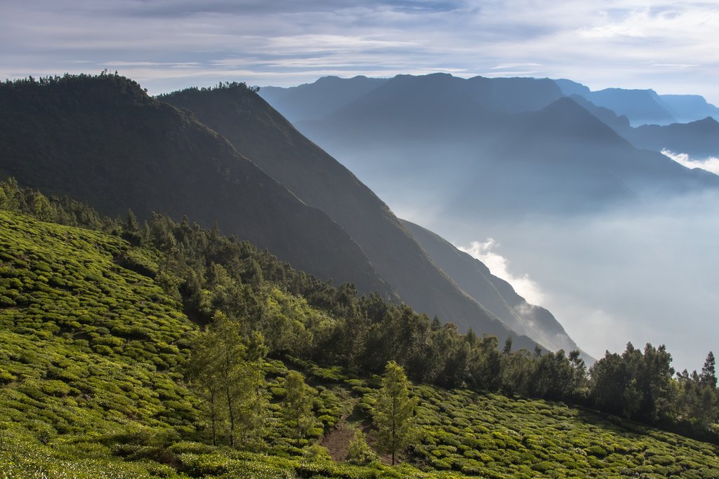 Mountains around Munnar