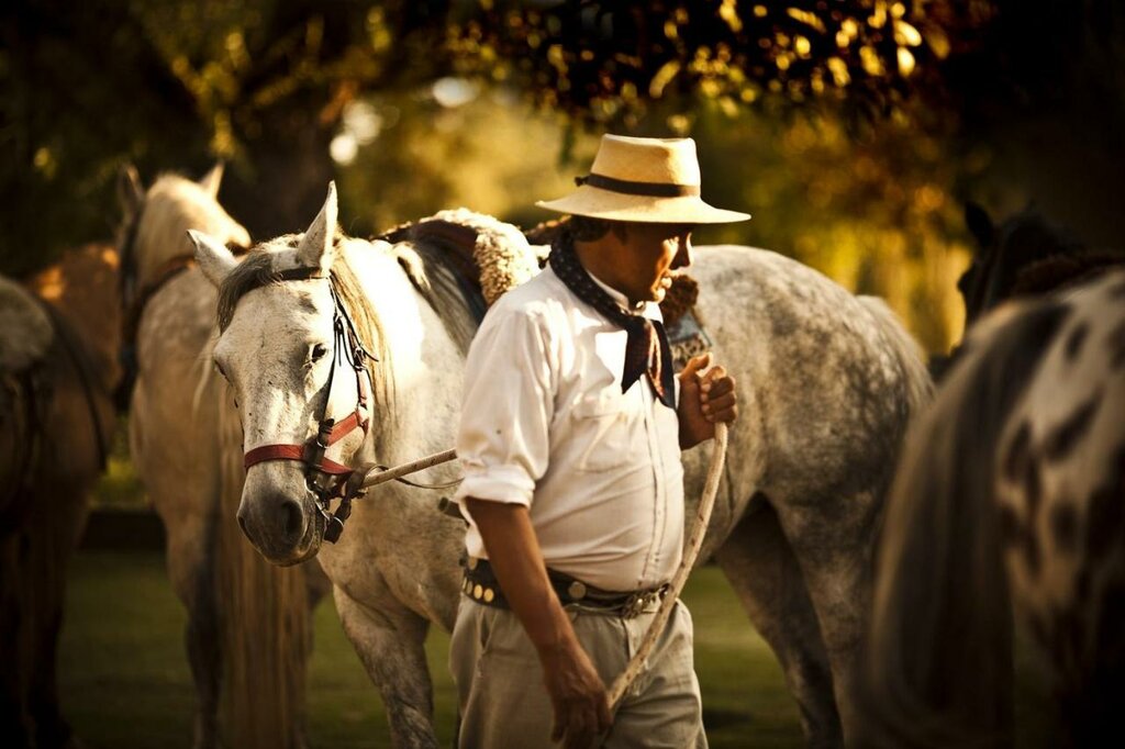 Private Gaucho Full Day Tour at El Ombú de Areco Ranch