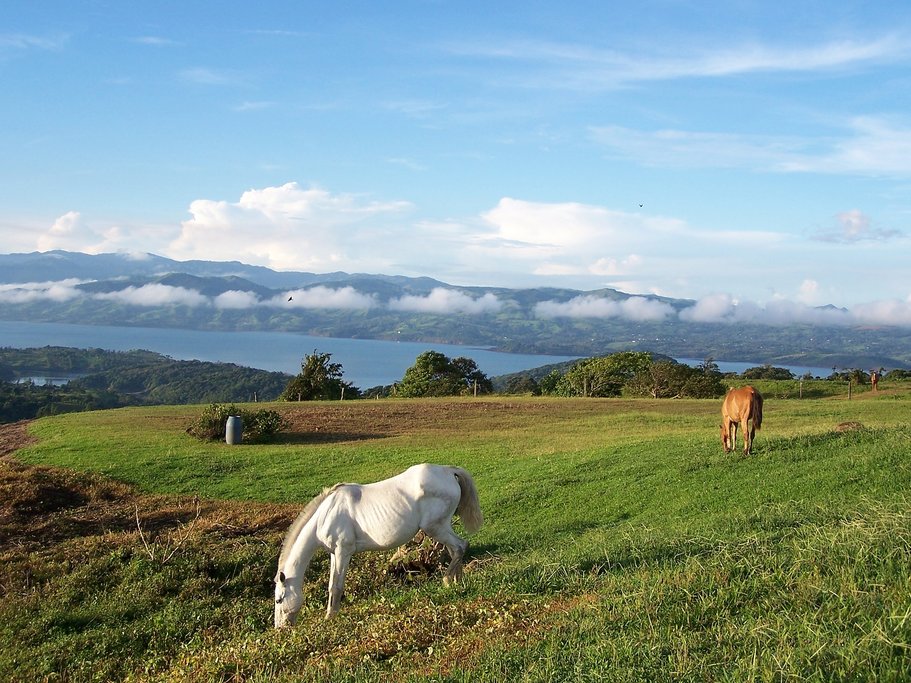 Riding Horses in Arenal