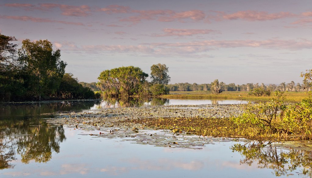 Australia - NT - Kakado National Park - Yellow Water Billabong