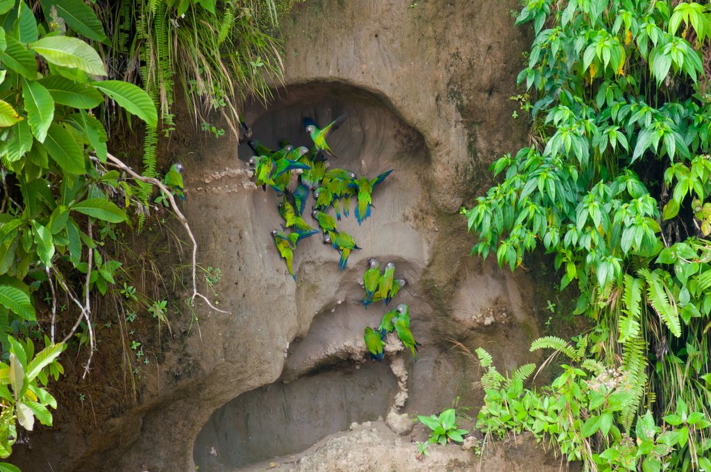 Itamandi Lodge: Hiking & Community visit