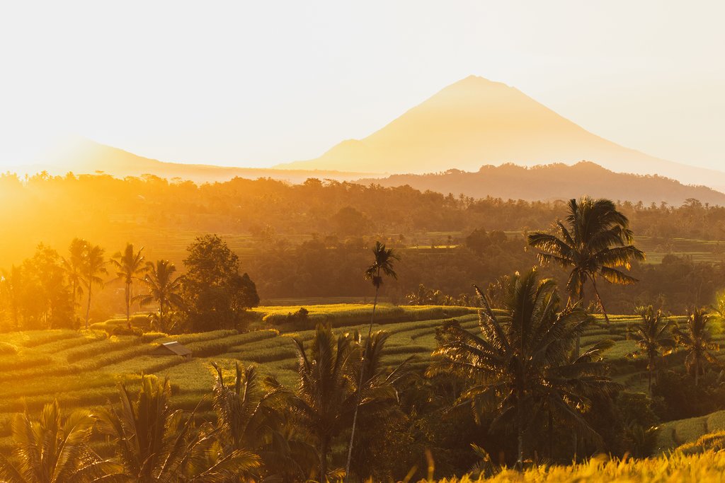 Enjoy views of the volcanoes & rice terraces