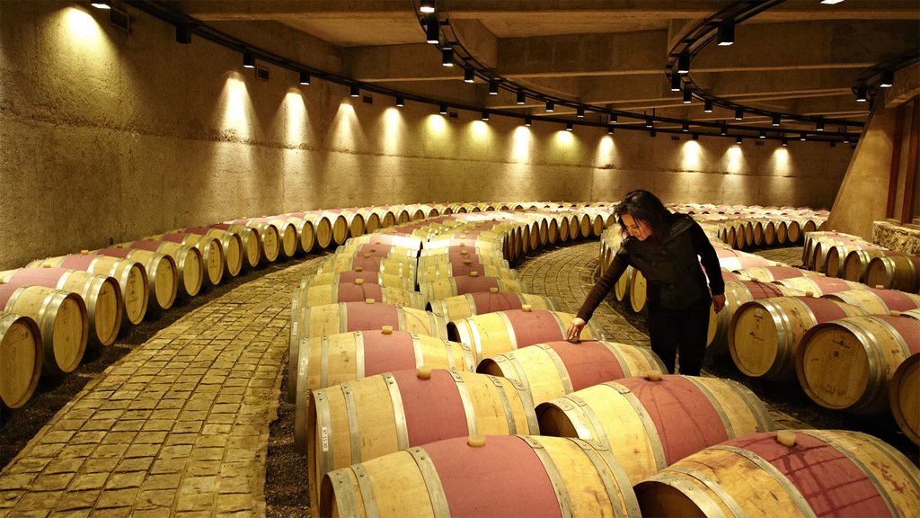 Inside the wine cellar where wine is stored in barrels