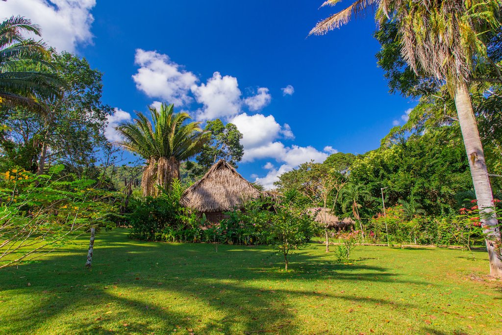 The grounds of your rainforest resort