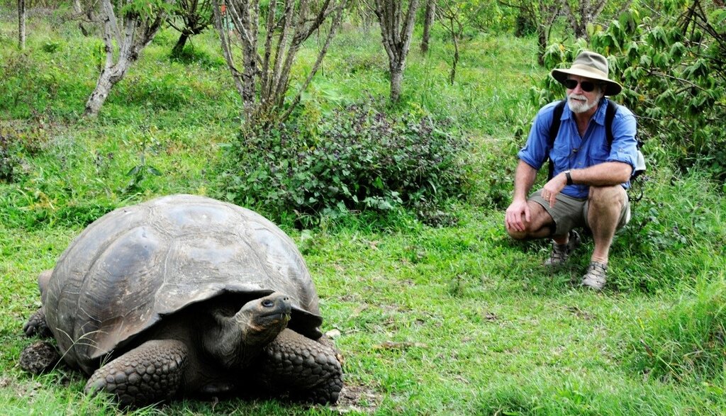 Quito - Galapagos (Baltra Airport) & Visit to the Giant Galapagos Tortoise Farm