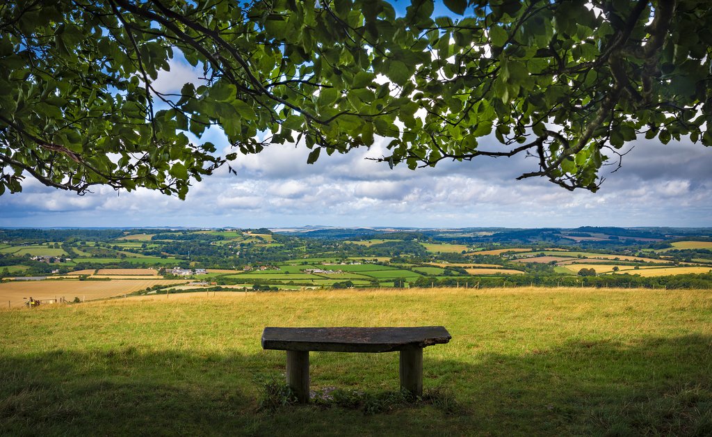 Views across Cranborne Chase from Win Green.