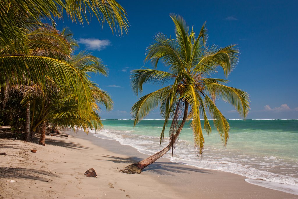 The coast of Cahuita National Park