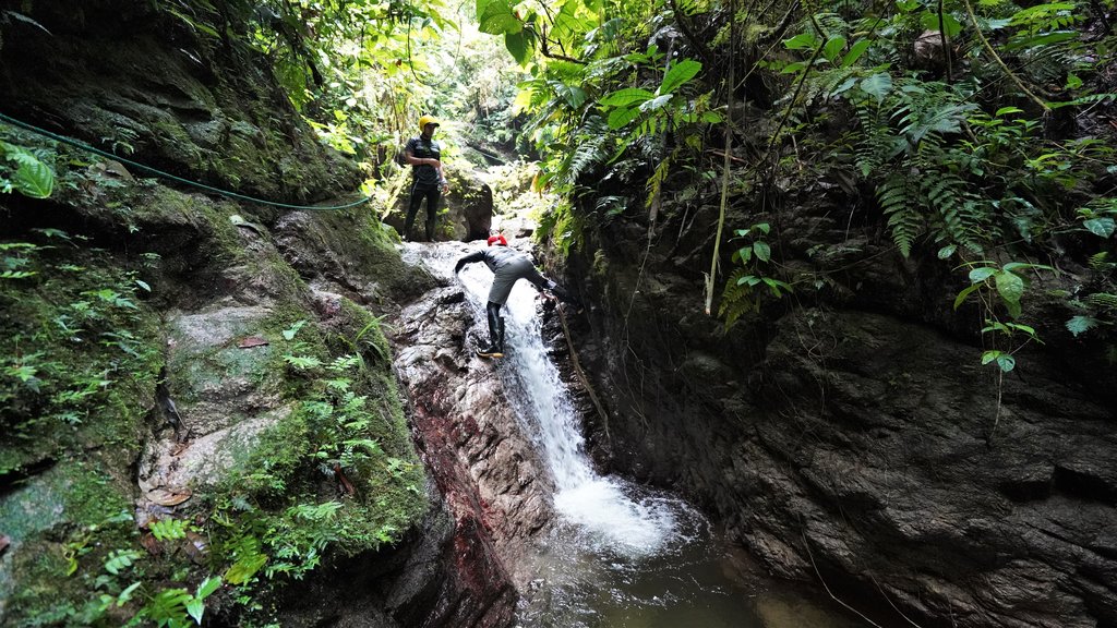 Canyoning in the jungle