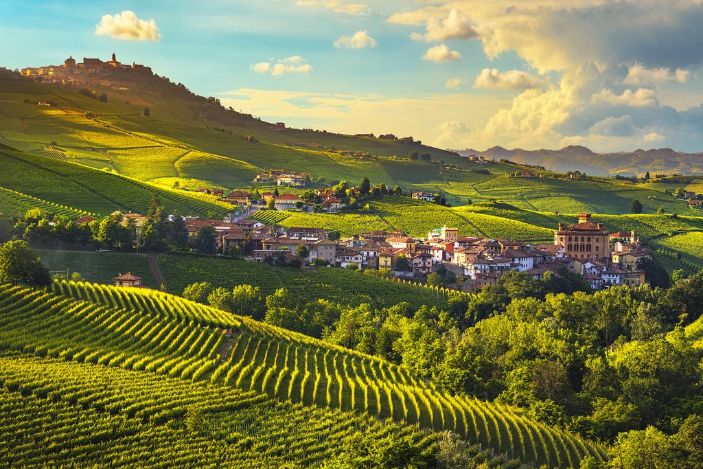 View across vineyards to the town of Barolo.