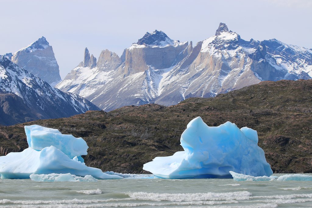 Icebergs in Grey Lake