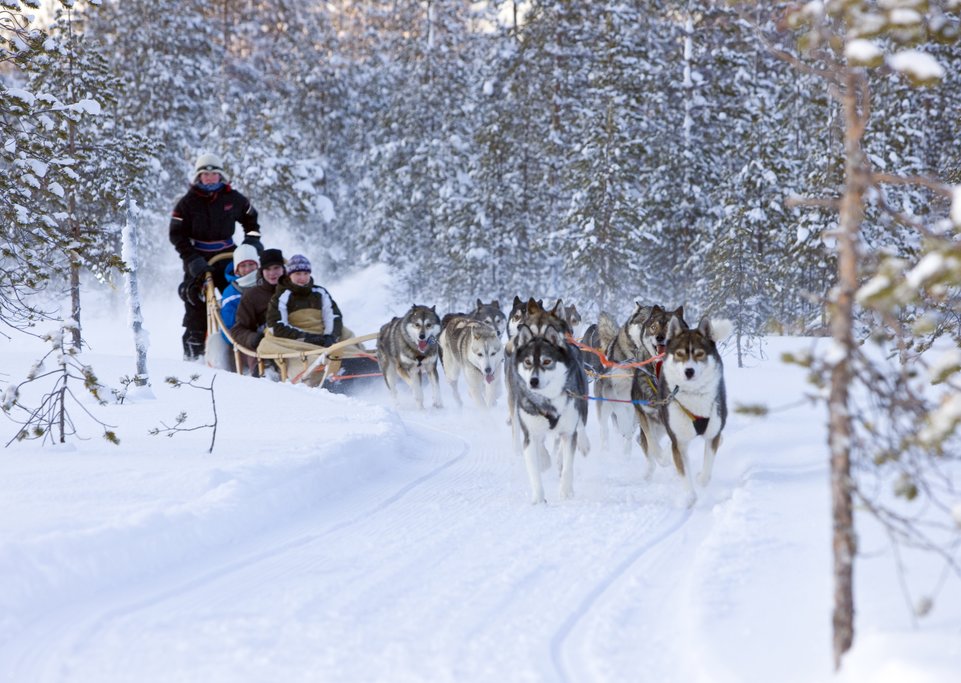 Ride a sleigh pulled by huskies