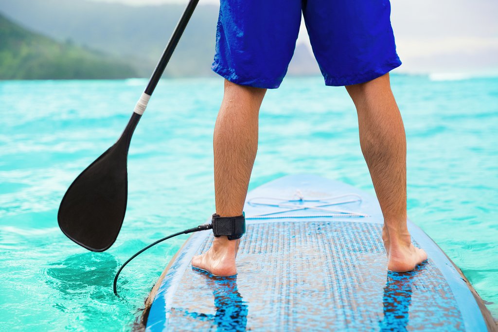 Spend the day paddle-boarding